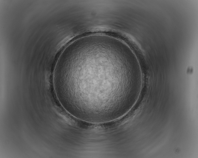 X0000091581217200708201200