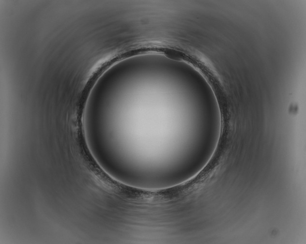 X0000091581218200708201200