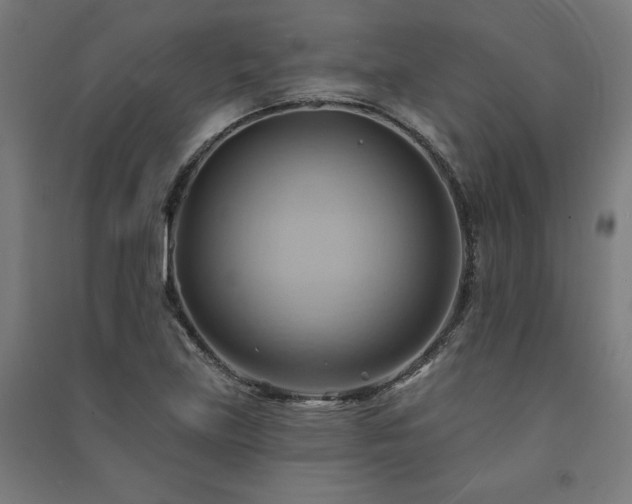 X0000091581219200708201200