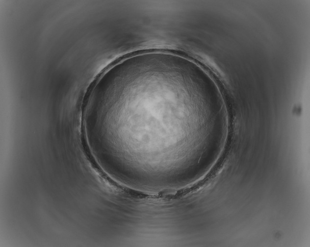 X0000091581220200708201200