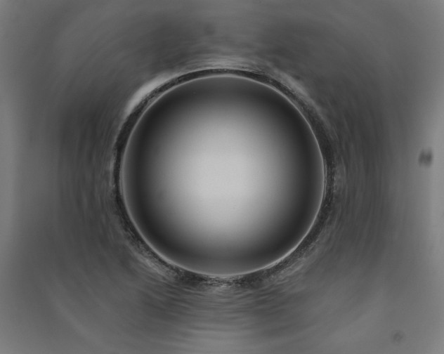 X0000091581222200708201200