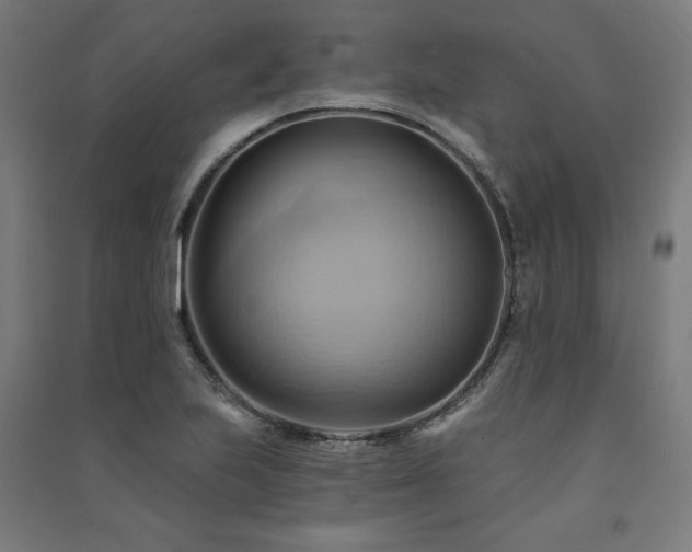 X0000091581223200708201200