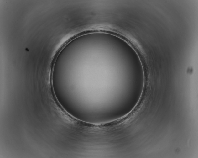 X0000091581224200708201200