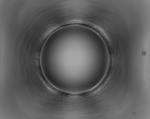 X0000091581225200708201200