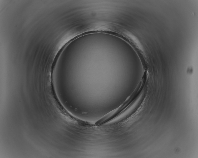 X0000091581226200708201200