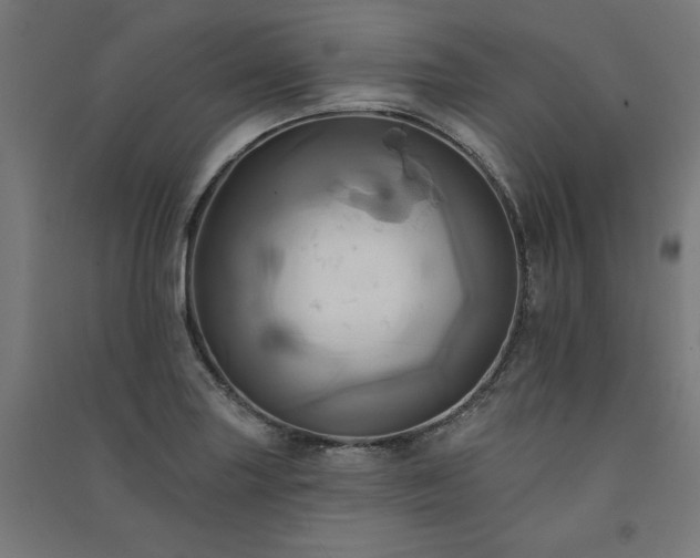 X0000091581227200708201200