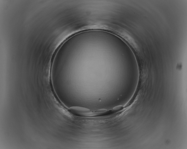 X0000091581228200708201200