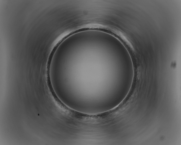 X0000091581229200708201200