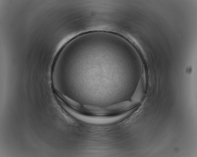 X0000091581230200708201200