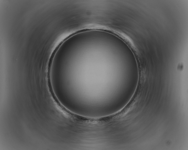 X0000091581231200708201200