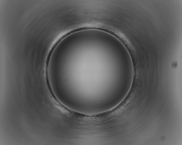 X0000091581232200708201200