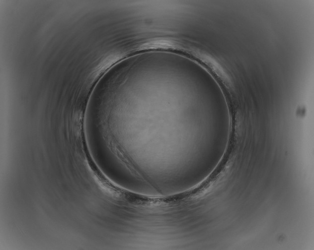 X0000091581233200708201200