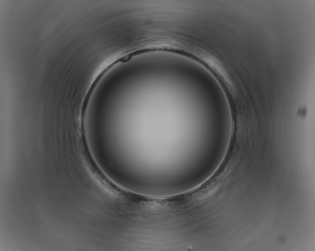 X0000091581234200708201200
