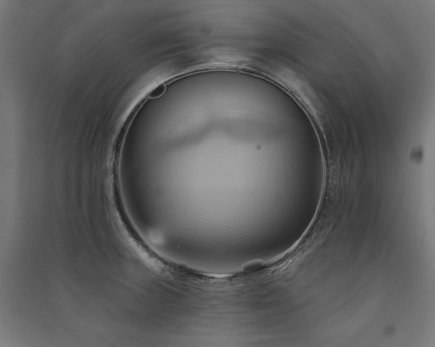 X0000091581235200708201200