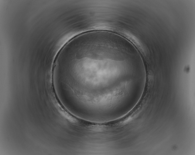 X0000091581236200708201200