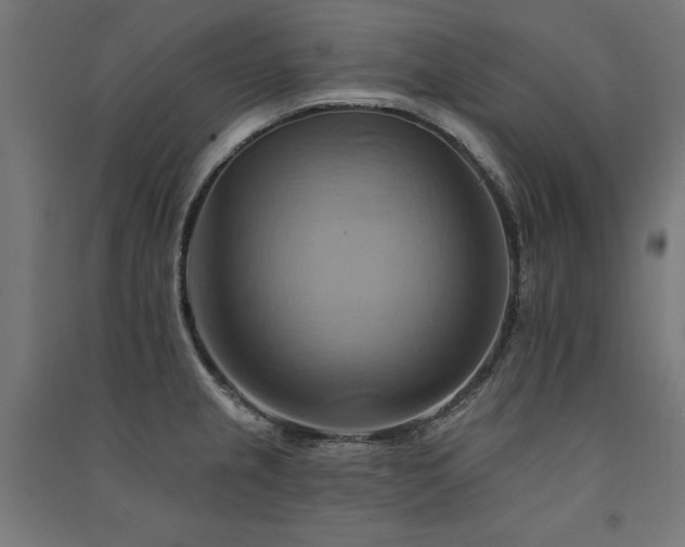 X0000091581237200708201200