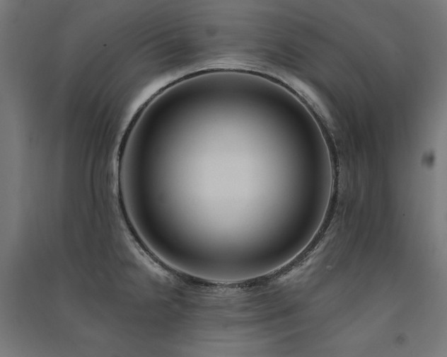 X0000091581238200708201200