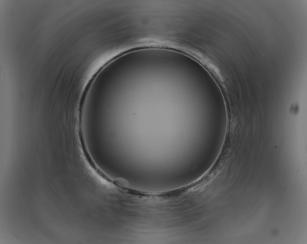 X0000091581239200708201200