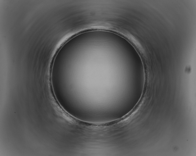X0000091581240200708201200