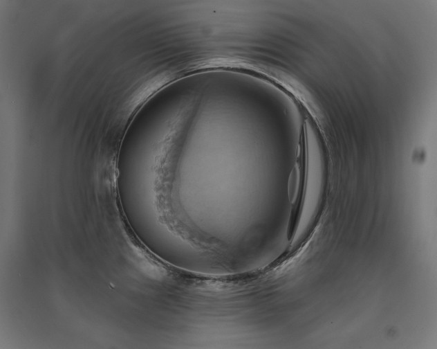 X0000091581241200708201200