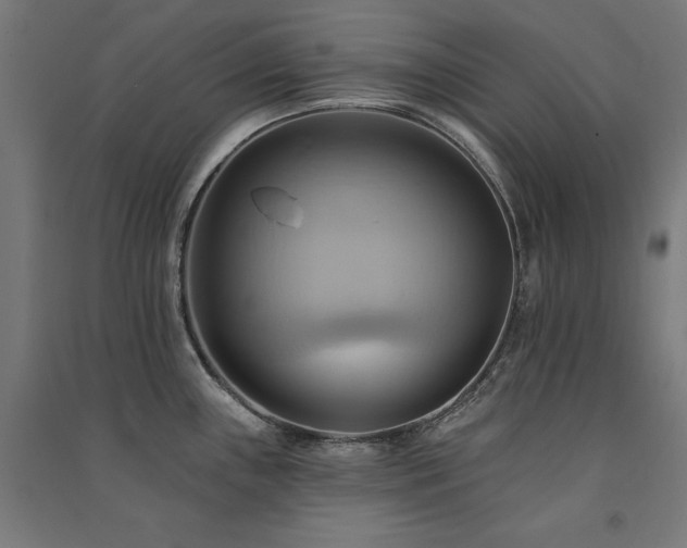 X0000091581243200708201200