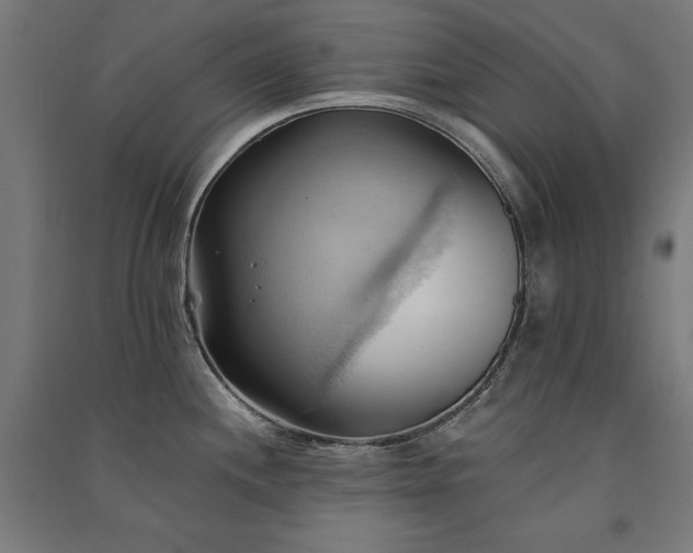 X0000091581244200708201200