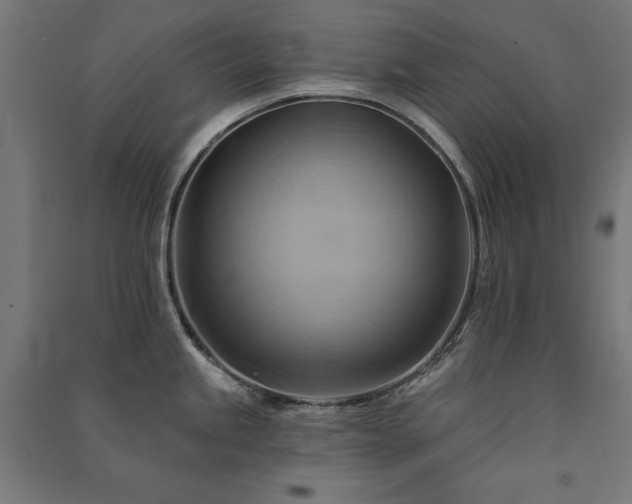 X0000091581245200708201200