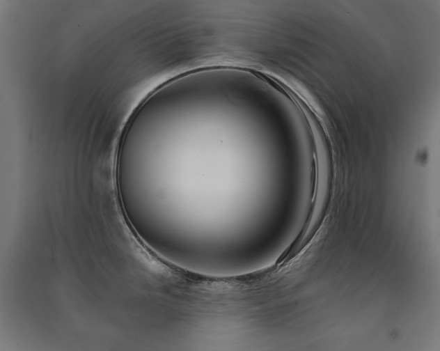 X0000091581246200708201200