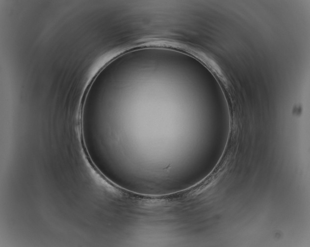 X0000091581247200708201200
