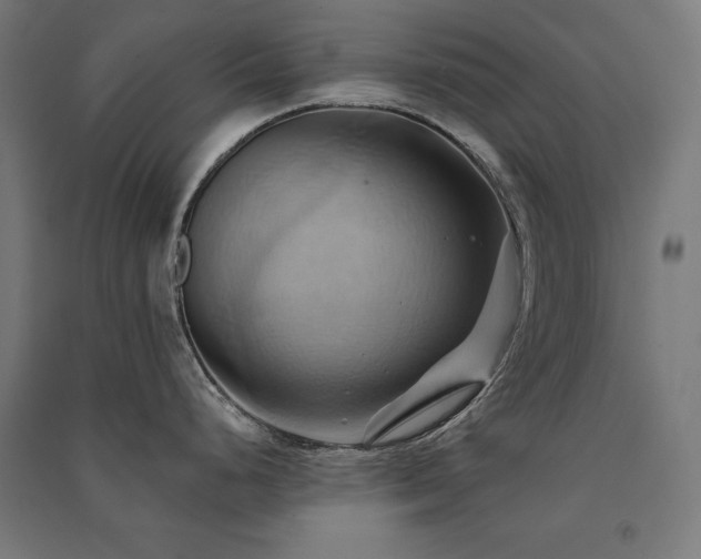 X0000091581248200708201200