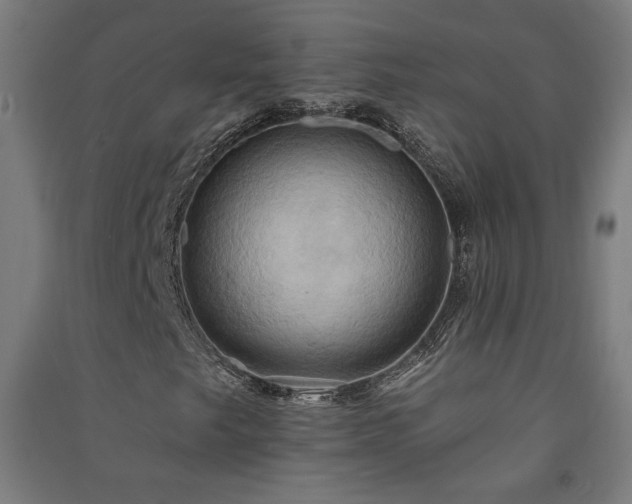 X0000091581249200708201200