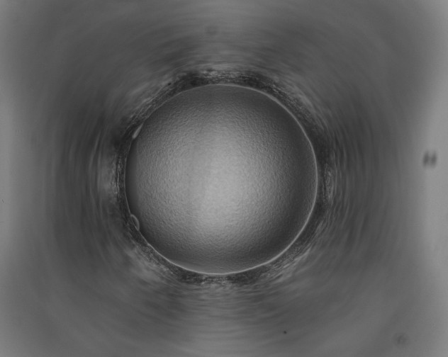 X0000091581250200708201200