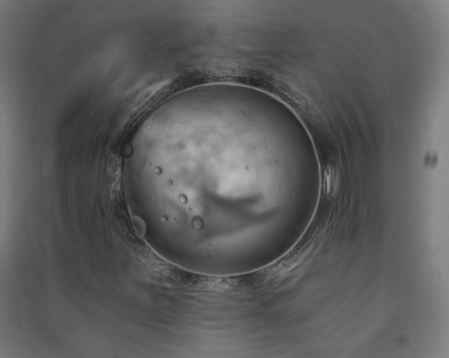 X0000091581251200708201200
