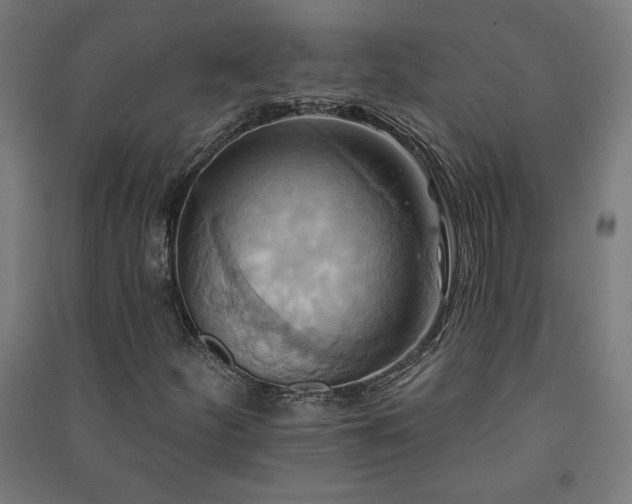 X0000091581252200708201200