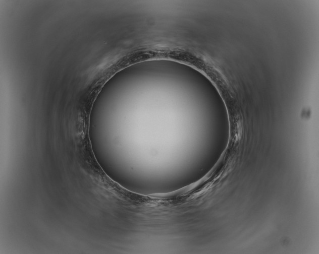 X0000091581253200708201200