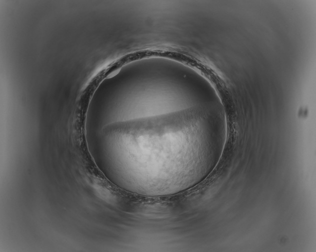 X0000091581256200708201200