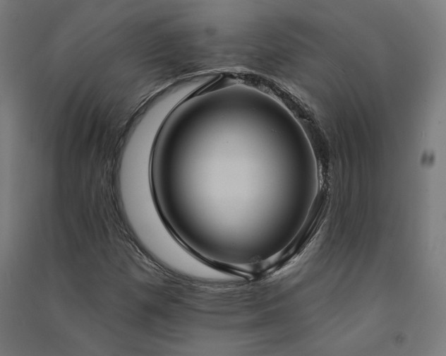 X0000091581257200708201200