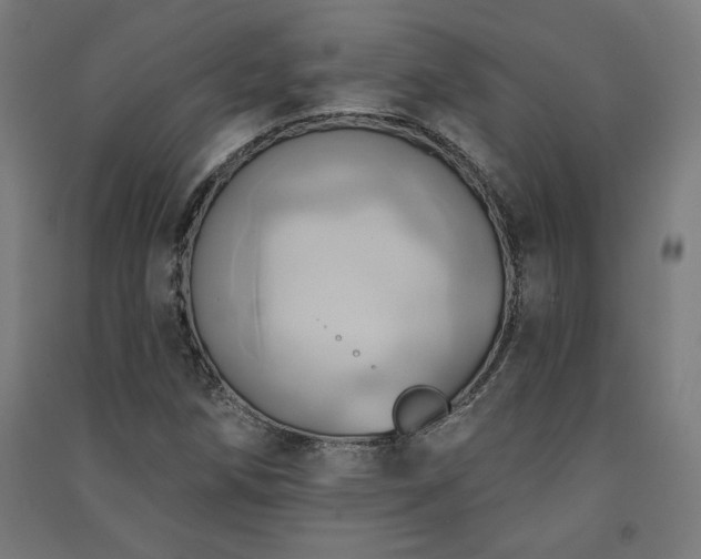 X0000091581258200708201200