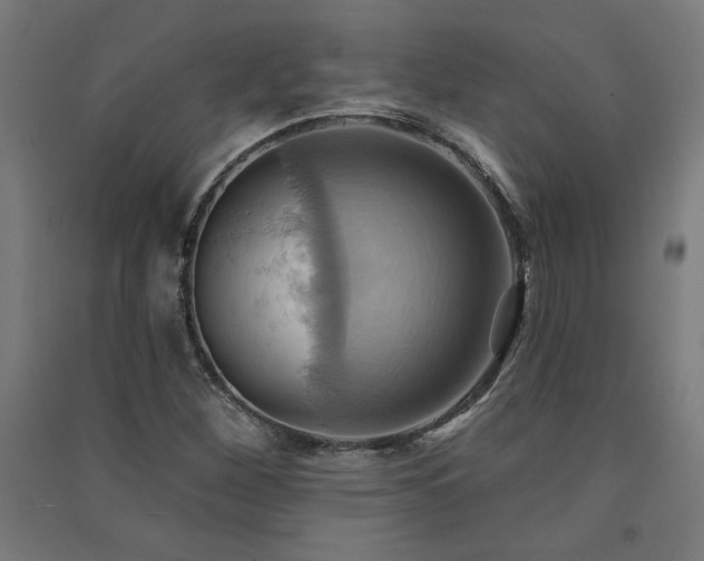 X0000091581260200708201200