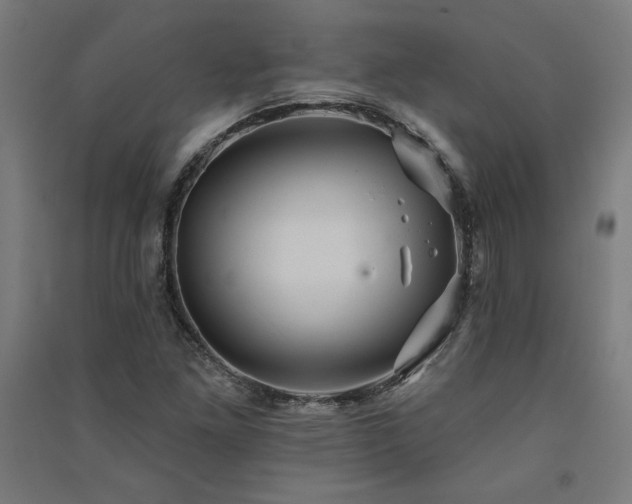 X0000091581261200708201200