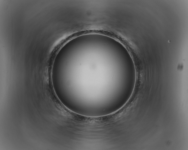 X0000091581262200708201200