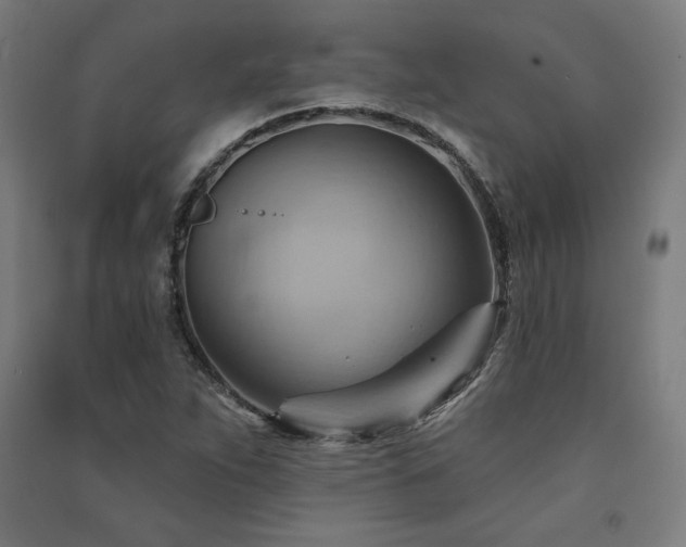X0000091581263200708201200