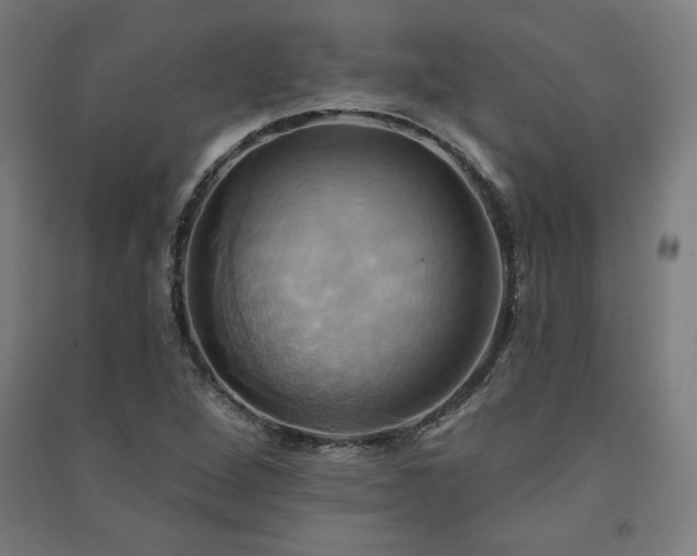 X0000091581264200708201200