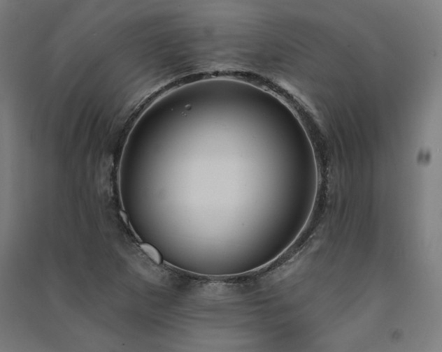 X0000091581265200708201200