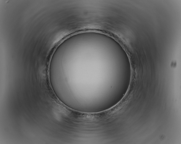 X0000091581266200708201200