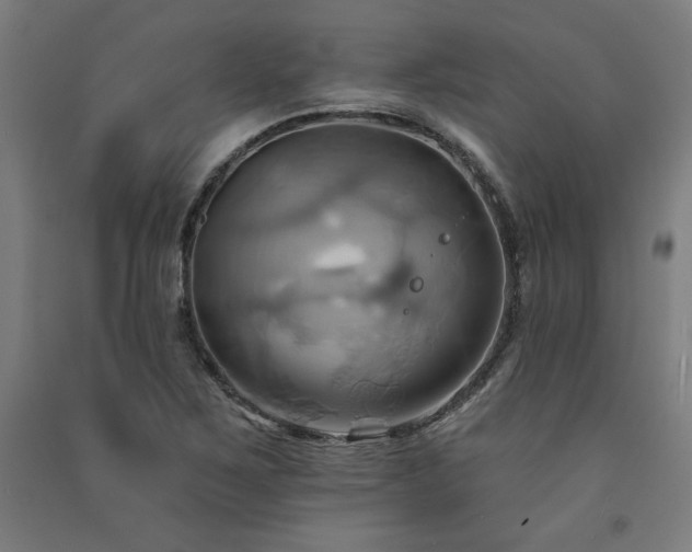 X0000091581267200708201159
