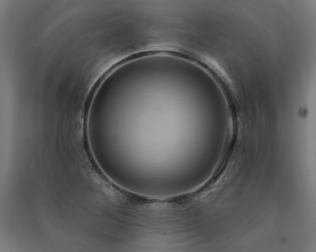 X0000091581268200708201159
