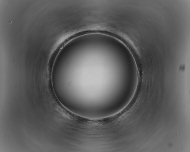 X0000091581270200708201159