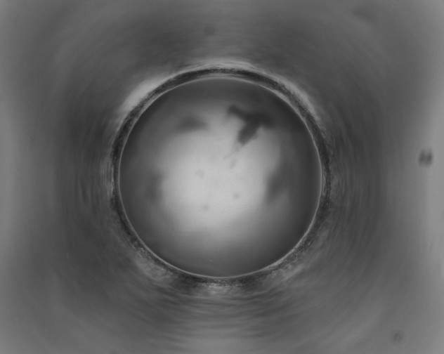 X0000091581271200708201159