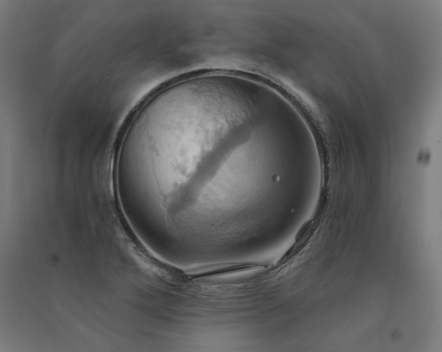 X0000091581272200708201159